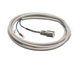 IC155146320 Carpigiani Rodlevel Electronic Control A