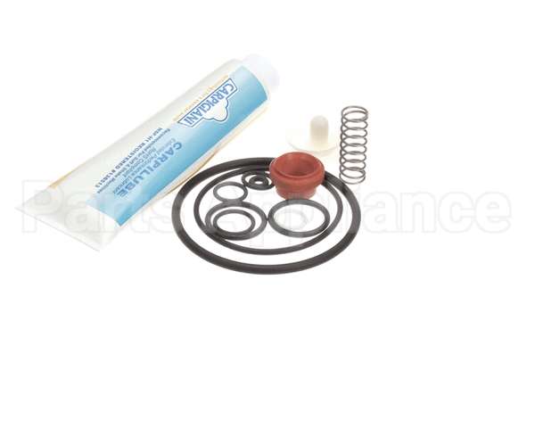 IC193-010082 Carpigiani Tune Up Kit