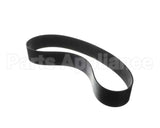 IC531300101 Carpigiani Belt Poly V 914 J36 22N