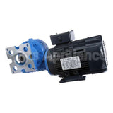 IC558421592 Carpigiani Gearmotor Motor 26S 1:115 2082