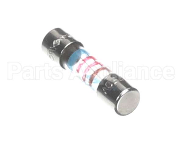 IC576200293 Carpigiani Fuse Omega St 5X20 T 1,25A 250