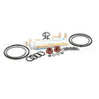 ICA5555750 Compatible Carpigiani Tune Up Kit Minor Uc1131P