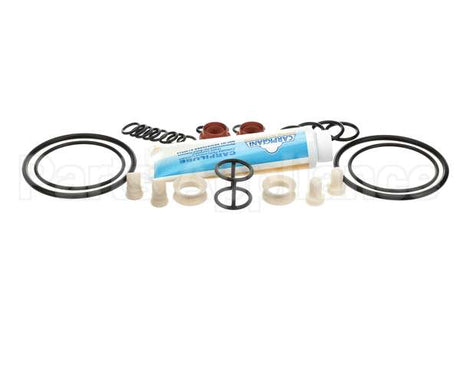 ICA5555750 Carpigiani Tune Up Kit Minor Uc1131P