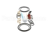 ICA5555750 Carpigiani Tune Up Kit Minor Uc1131P