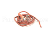 IGN00114 Trane Ignitor, Electrode