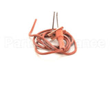 IGN00114 Trane Ignitor, Electrode