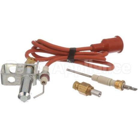 J987DDW Compatible Johnson Controls Ignitor Pilot