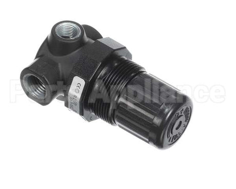 JT-R07200RNAA Joe Tap Regulator, 1/4" Npt, 1-10 Psi