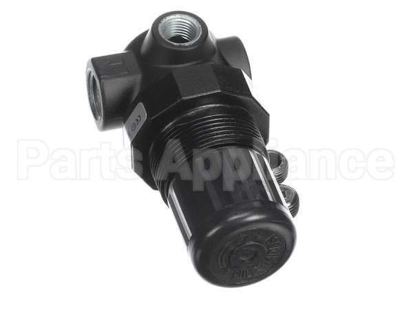 JT-R07200RNAA Joe Tap Regulator, 1/4" Npt, 1-10 Psi