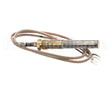 K00800 Globe Thermopile