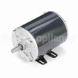 K198 Marathon Motor
