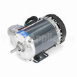 K2116 Marathon Motor