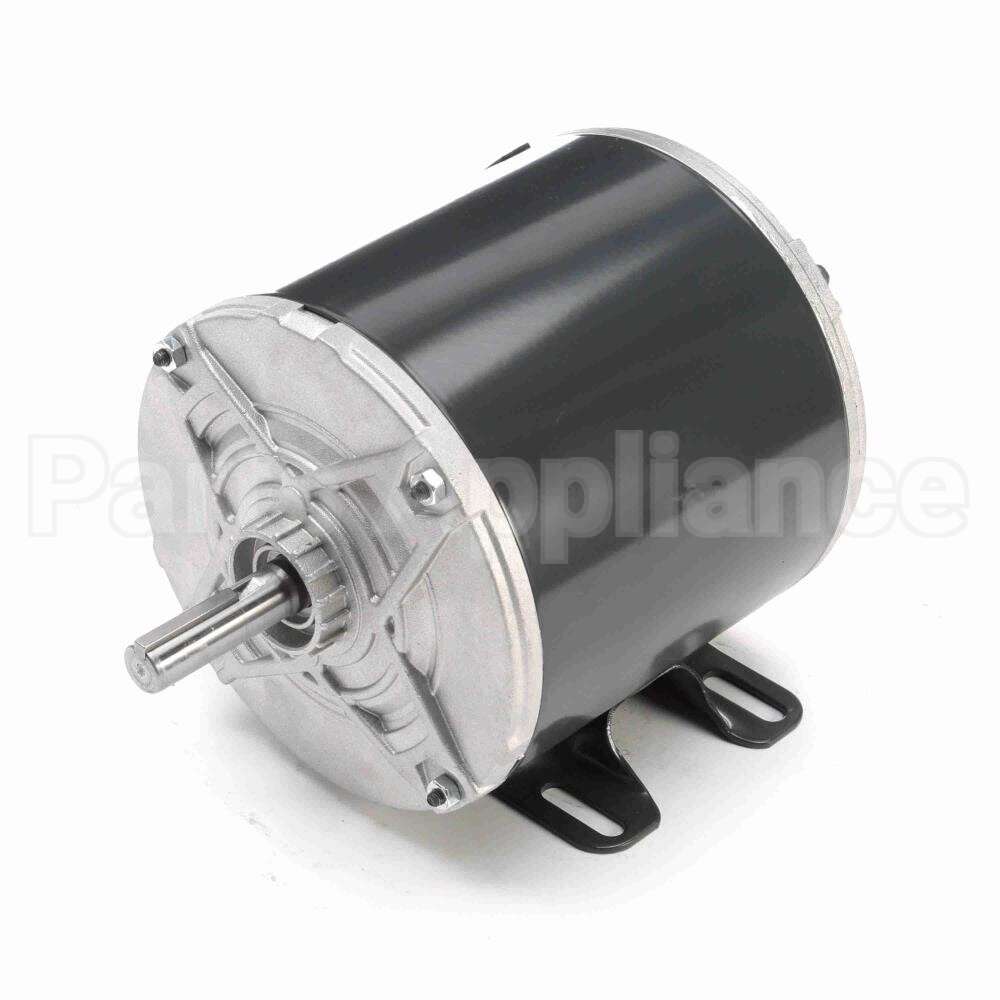 K439 Marathon Motor