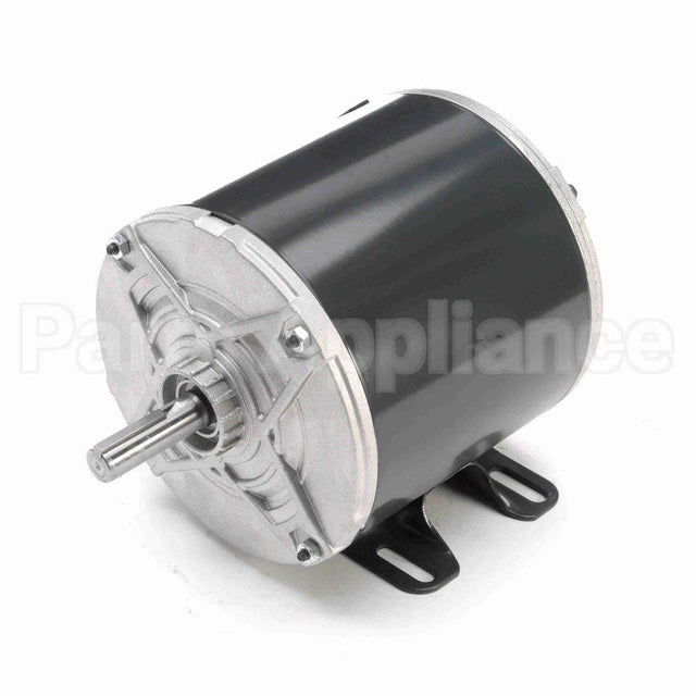 K439 Marathon Motor