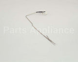 K9-41100-24 Lang Probe - Electronic #1517
