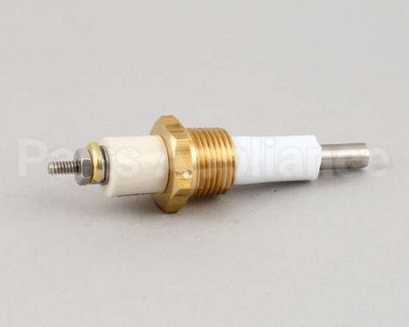 KE50556-1 Cleveland Probe;Water Lvl Kel,Ket, Kgt,K