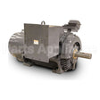 KF5008 Teco Medium Voltage Motor