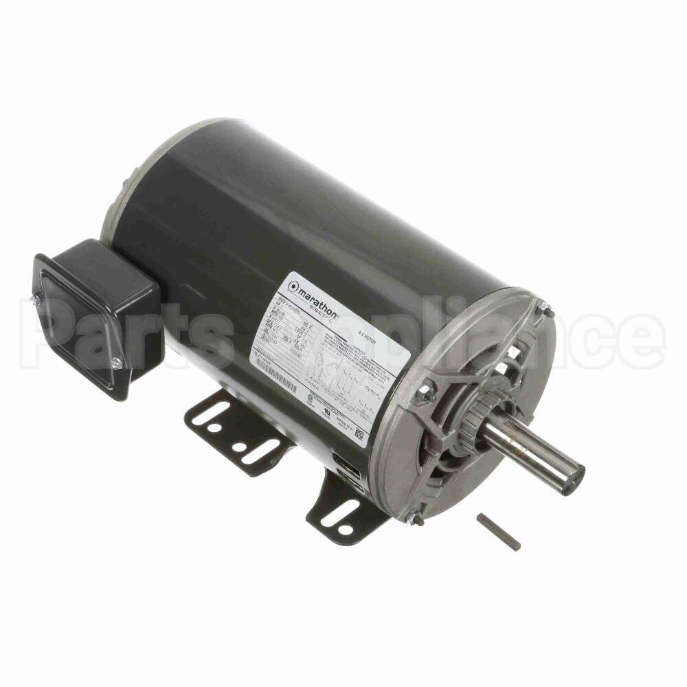 KG319 Marathon Motor