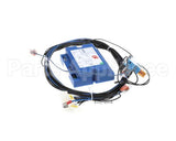 KITGAS-002 Firex Kit,Trasf, Cntr Gas P19 A P25