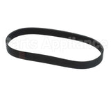 L02093 Globe Belt (5F-4236)