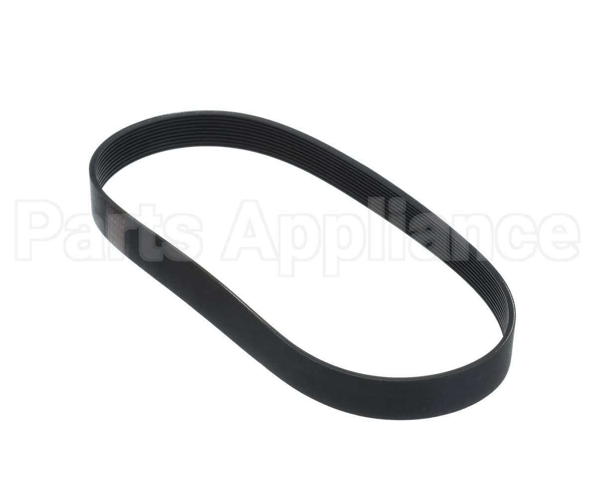 L02093 Globe Belt (5F-4236)