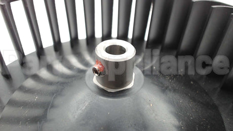 LA11ZD058 Carrier 5.6"Dia 1.55"W 5/16Br Cw Wheel