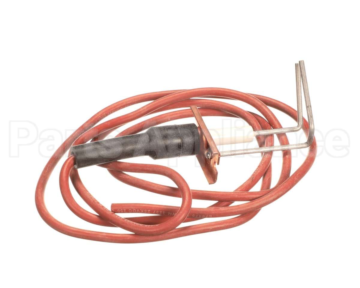 LH33WZ010 Bryant Payne Ignitor