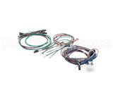 M237478 Moffat Harness