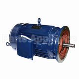M898B Marathon Vertical Pump Motor