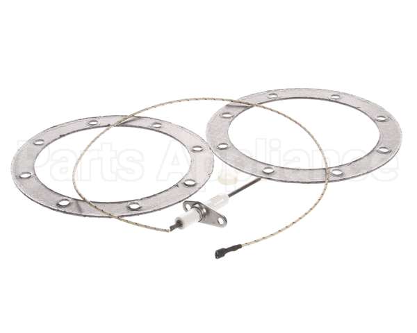 MM201177 Henny Penny Flame Sensor