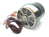 MOT18729 Trane 460V1Ph 1Hp 1125Rpm Motor