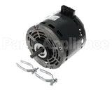 MPMOT-230 Powered Aire Motor 230 Volt