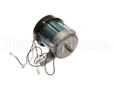 MS431 Globe Knife Motor