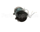 MS431 Globe Knife Motor