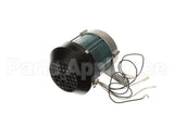 MS431 Globe Knife Motor