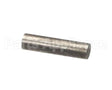 N00603 Globe Pin