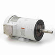N202 Marathon Motor