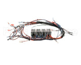 NGC-1150-1.E Turbochef Wire Harness, Line Vtg, 1Ph