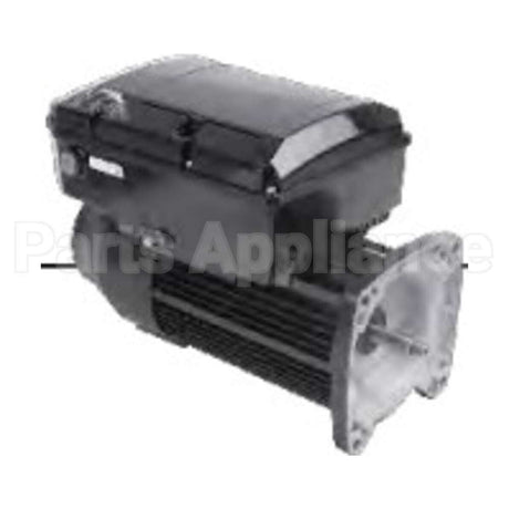 NPTQ165 US Motors Nidec Pool And Spa Pump Motor