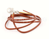 NT1097 Groen Thermocouple, Assb, Electric Intek Steam
