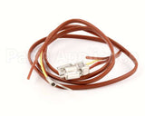 NT1097 Groen Thermocouple, Assb, Electric Intek Steam