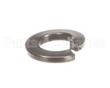 NT1216 Groen Lock Washer- Lock 1/4 Ss