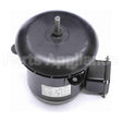 OCA1056 Century Oem Replacement Motor