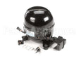 P00025-01 Hoshizaki Compressor (Qa125K29
