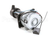 P00468-01 Hoshizakipump Assembly(