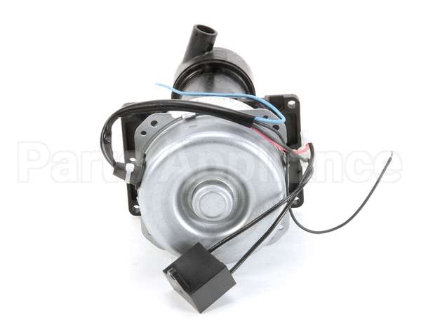 P00468-01 Hoshizakipump Assembly(