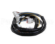 P0127L4900 Turbo Air Harness Main Jrf19
