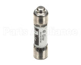 P01490 Globe Fuse (2A/600V)