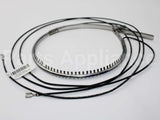 P041-4443 Carrier Belt 240V 40W 6-8"Dia 51" Htr