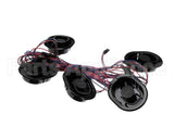 P096377KBK Hillphoenix 5-Rcpt. Harness